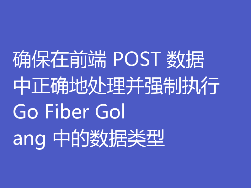 确保在前端 POST 数据中正确地处理并强制执行 Go Fiber Golang 中的数据类型