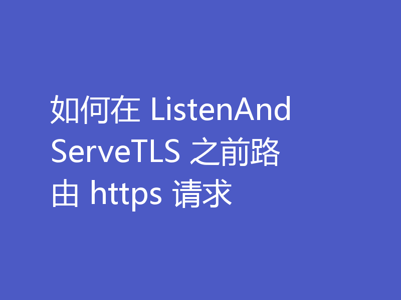 如何在 ListenAndServeTLS 之前路由 https 请求
