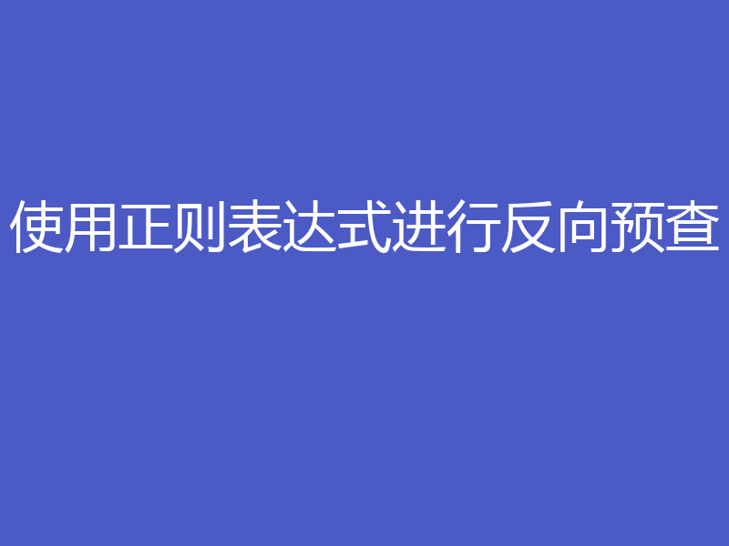 使用正则表达式进行反向预查