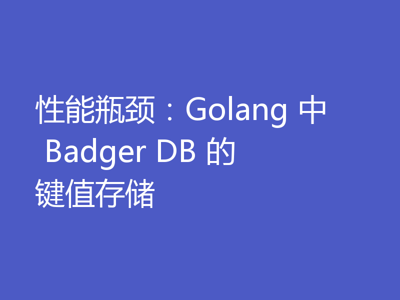 性能瓶颈：Golang 中 Badger DB 的键值存储