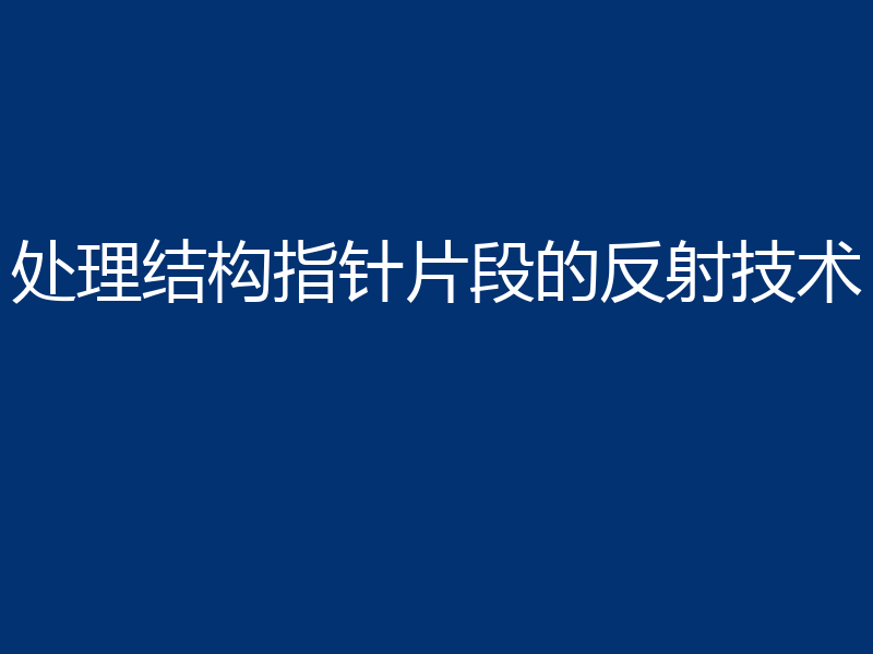 处理结构指针片段的反射技术