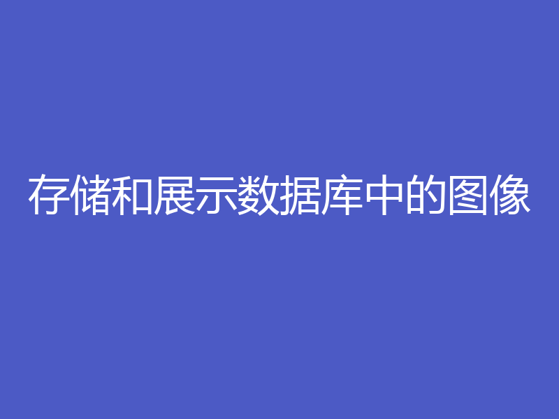 存储和展示数据库中的图像