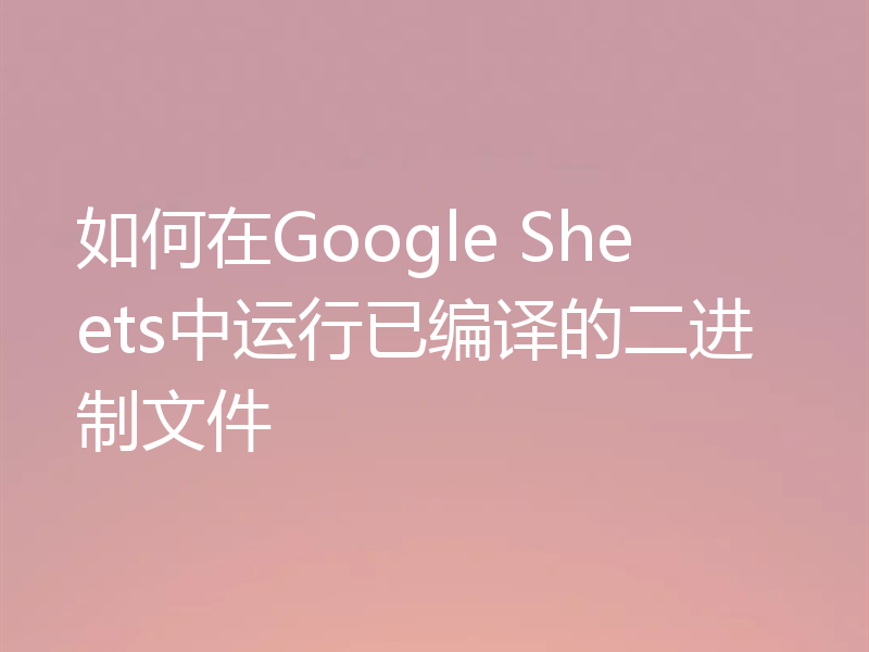 如何在Google Sheets中运行已编译的二进制文件