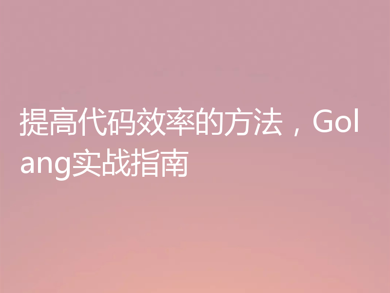 提高代码效率的方法，Golang实战指南