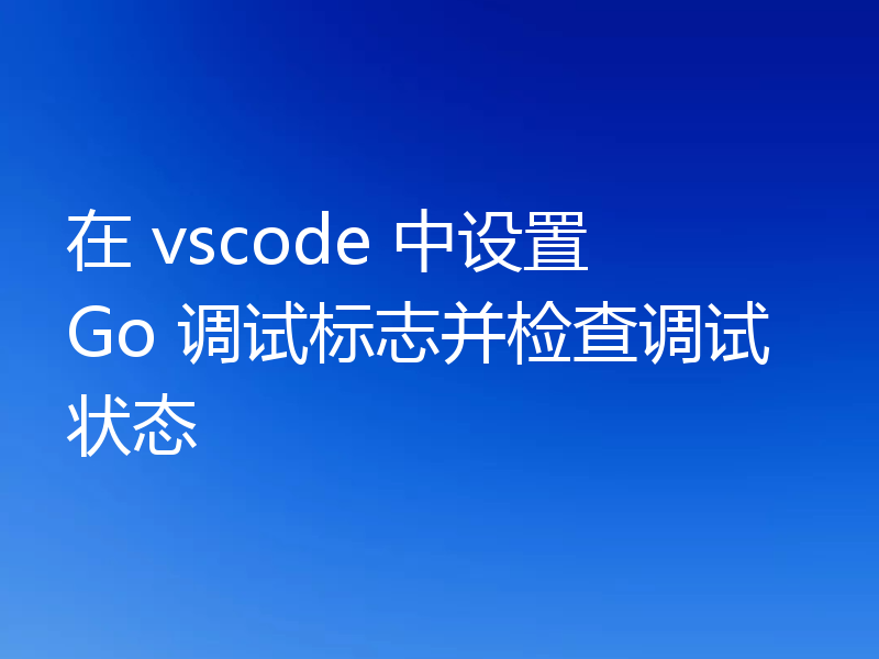 在 vscode 中设置 Go 调试标志并检查调试状态