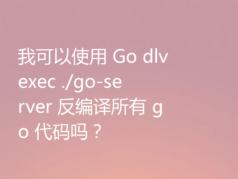 我可以使用 Go dlv exec ./go-server 反编译所有 go 代码吗？