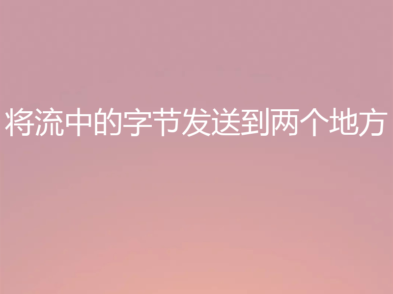 将流中的字节发送到两个地方