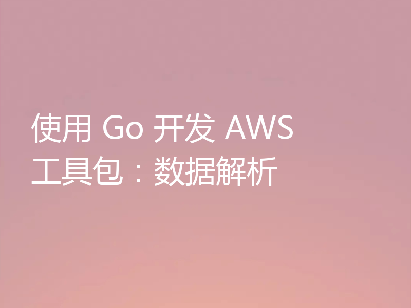 使用 Go 开发 AWS 工具包：数据解析