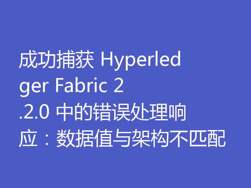 成功捕获 Hyperledger Fabric 2.2.0 中的错误处理响应：数据值与架构不匹配