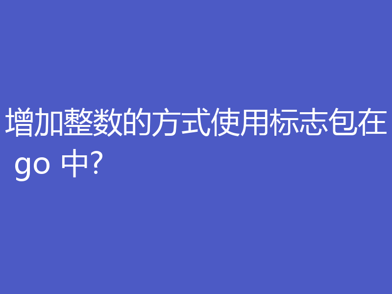 增加整数的方式使用标志包在 go 中?