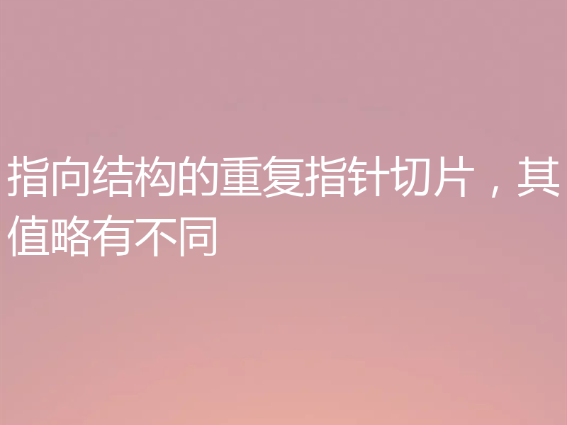 指向结构的重复指针切片，其值略有不同