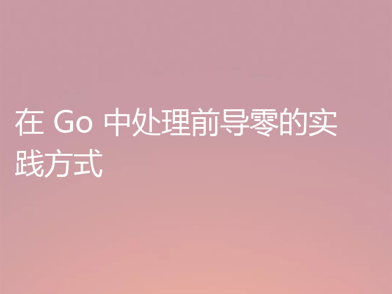 在 Go 中处理前导零的实践方式