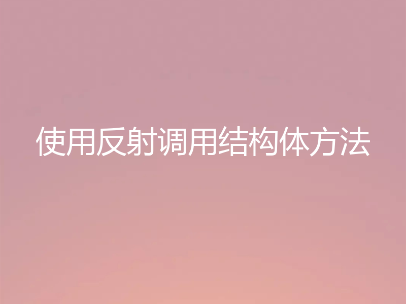 使用反射调用结构体方法