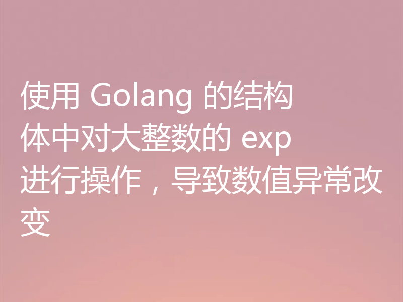 使用 Golang 的结构体中对大整数的 exp 进行操作，导致数值异常改变