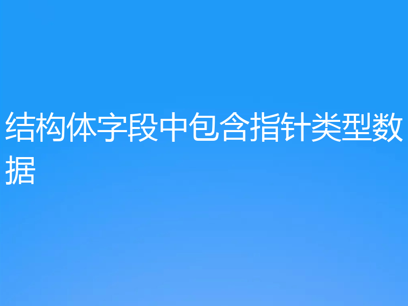 结构体字段中包含指针类型数据