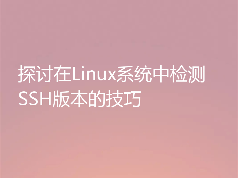 探讨在Linux系统中检测SSH版本的技巧