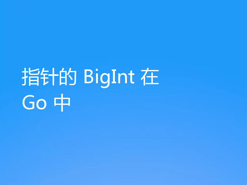 指针的 BigInt 在 Go 中