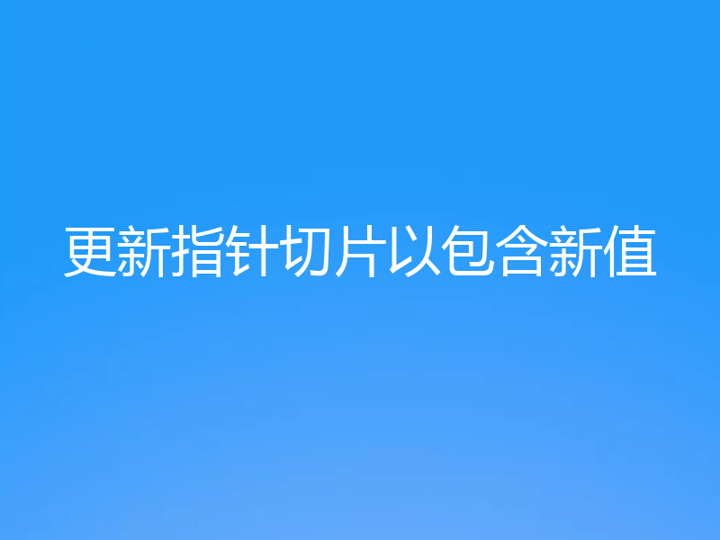 更新指针切片以包含新值
