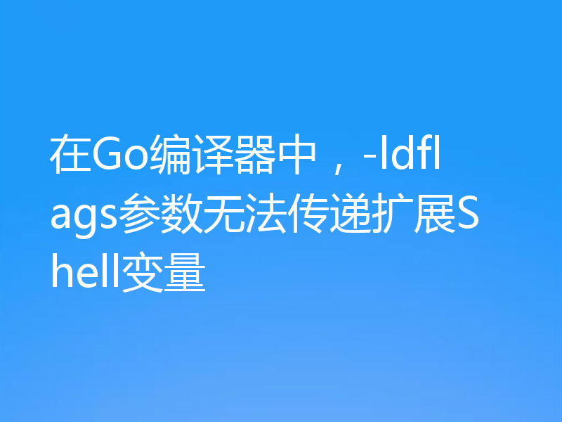 在Go编译器中，-ldflags参数无法传递扩展Shell变量