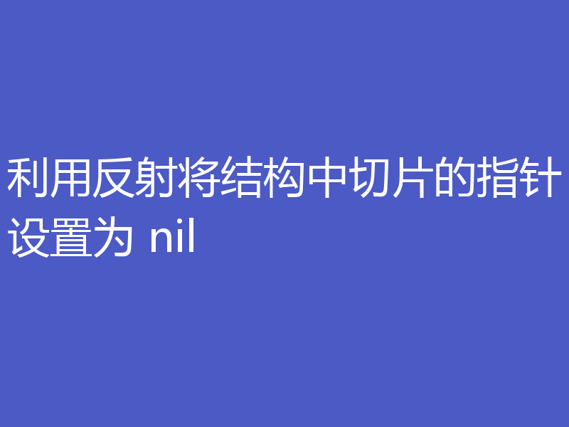 利用反射将结构中切片的指针设置为 nil