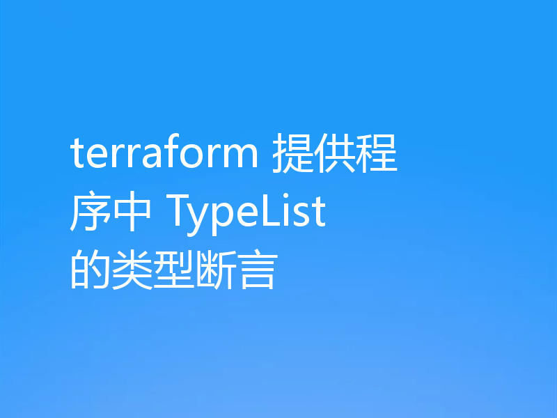 terraform 提供程序中 TypeList 的类型断言