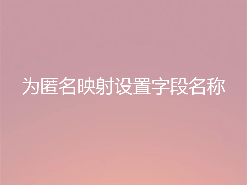 为匿名映射设置字段名称