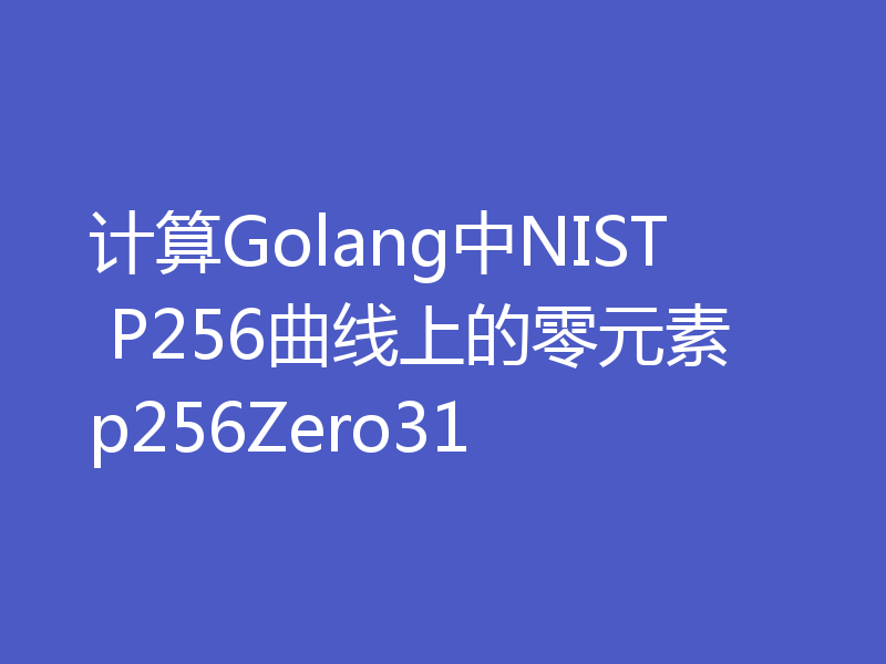 计算Golang中NIST P256曲线上的零元素p256Zero31