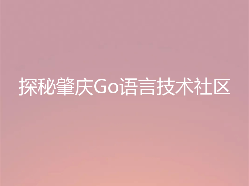 探秘肇庆Go语言技术社区