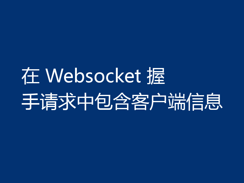 在 Websocket 握手请求中包含客户端信息