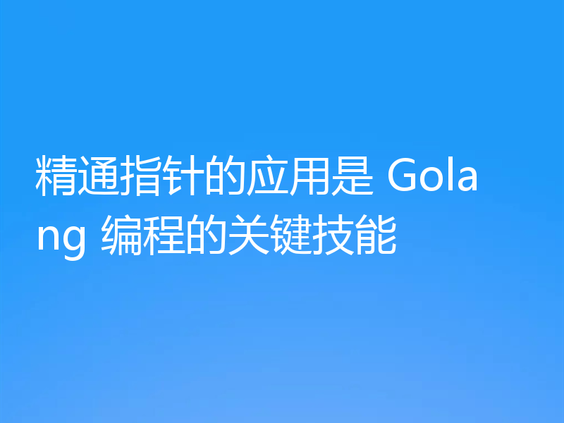 精通指针的应用是 Golang 编程的关键技能