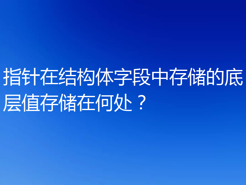 指针在结构体字段中存储的底层值存储在何处？