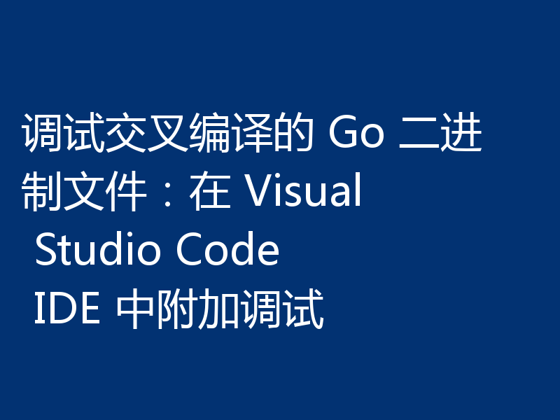 调试交叉编译的 Go 二进制文件：在 Visual Studio Code IDE 中附加调试
