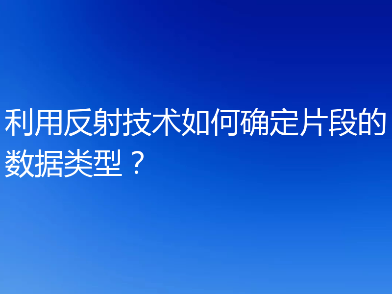 利用反射技术如何确定片段的数据类型？