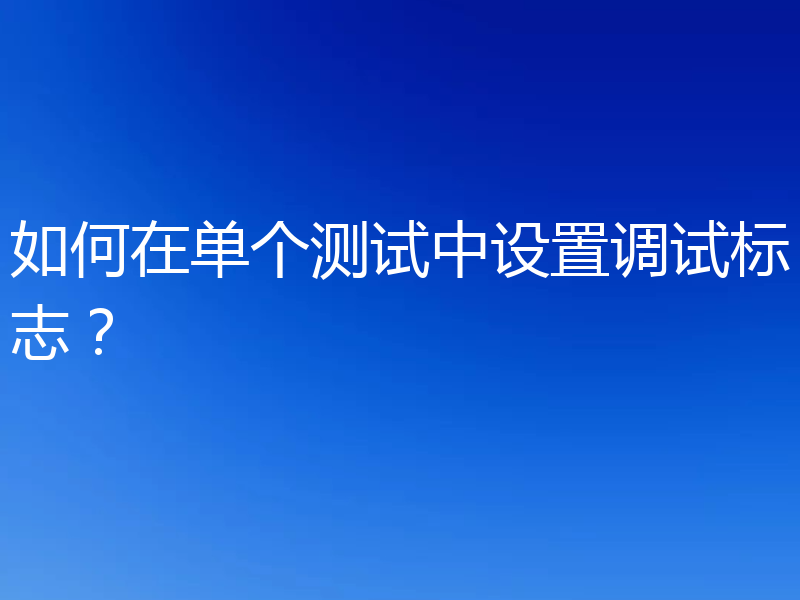 如何在单个测试中设置调试标志？