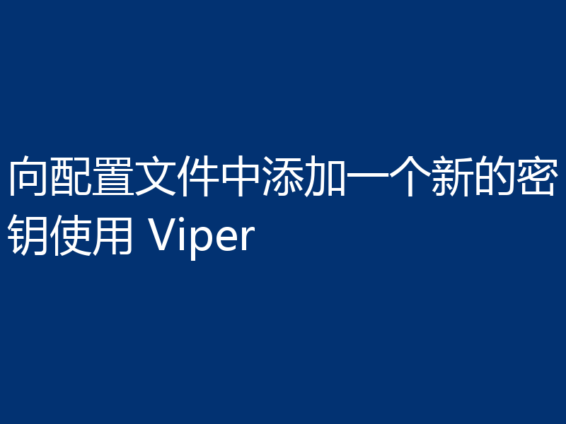 向配置文件中添加一个新的密钥使用 Viper