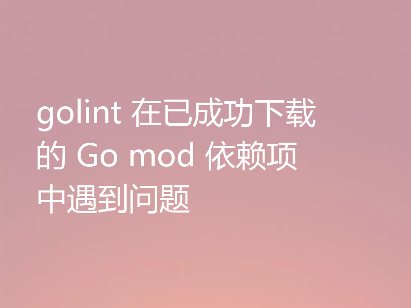 golint 在已成功下载的 Go mod 依赖项中遇到问题