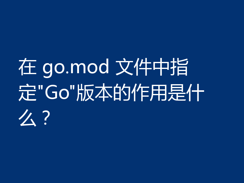 在 go.mod 文件中指定