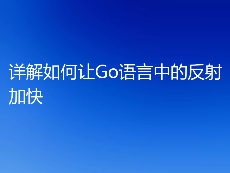 详解如何让Go语言中的反射加快