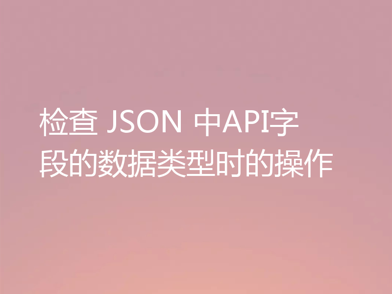 检查 JSON 中API字段的数据类型时的操作