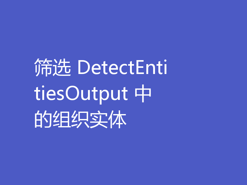 筛选 DetectEntitiesOutput 中的组织实体