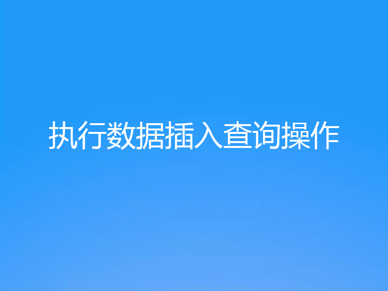 执行数据插入查询操作