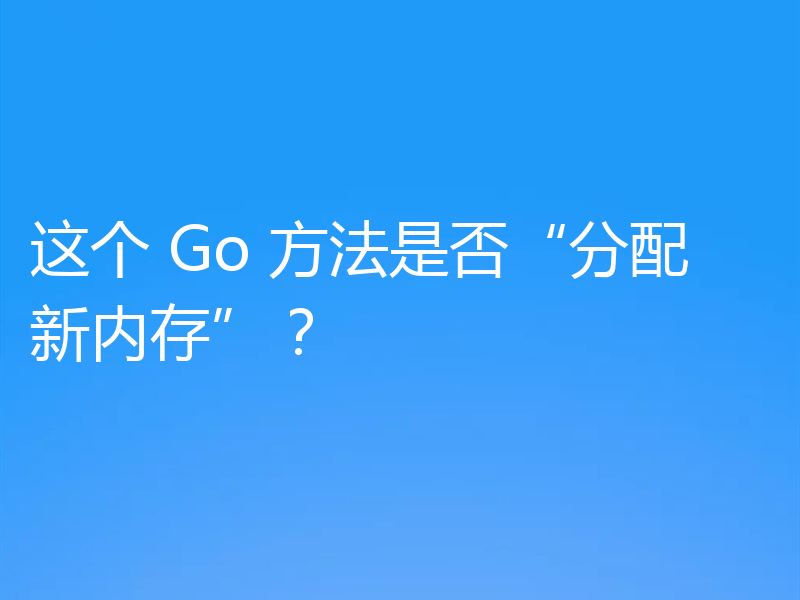这个 Go 方法是否“分配新内存”？
