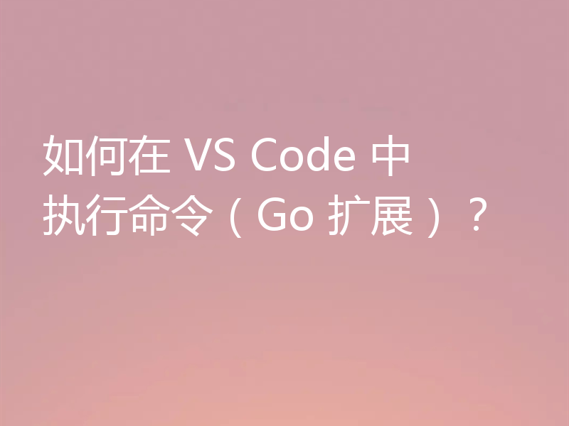 如何在 VS Code 中执行命令（Go 扩展）？