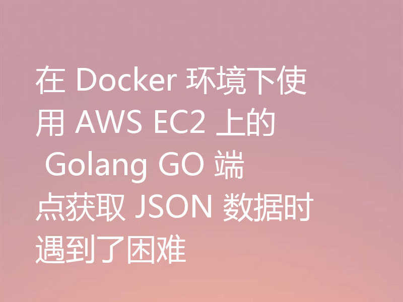 在 Docker 环境下使用 AWS EC2 上的 Golang GO 端点获取 JSON 数据时遇到了困难