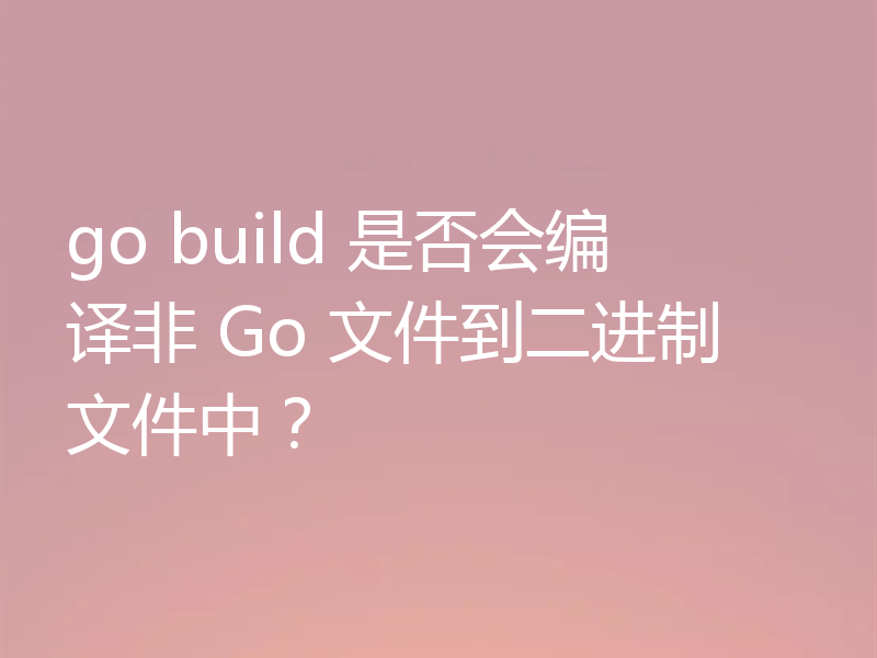 go build 是否会编译非 Go 文件到二进制文件中？