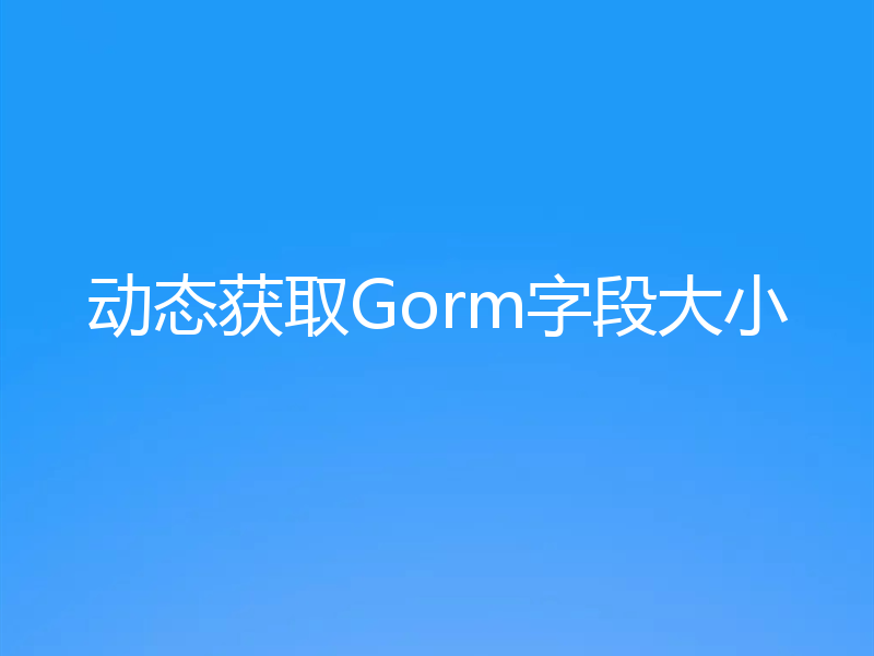 动态获取Gorm字段大小
