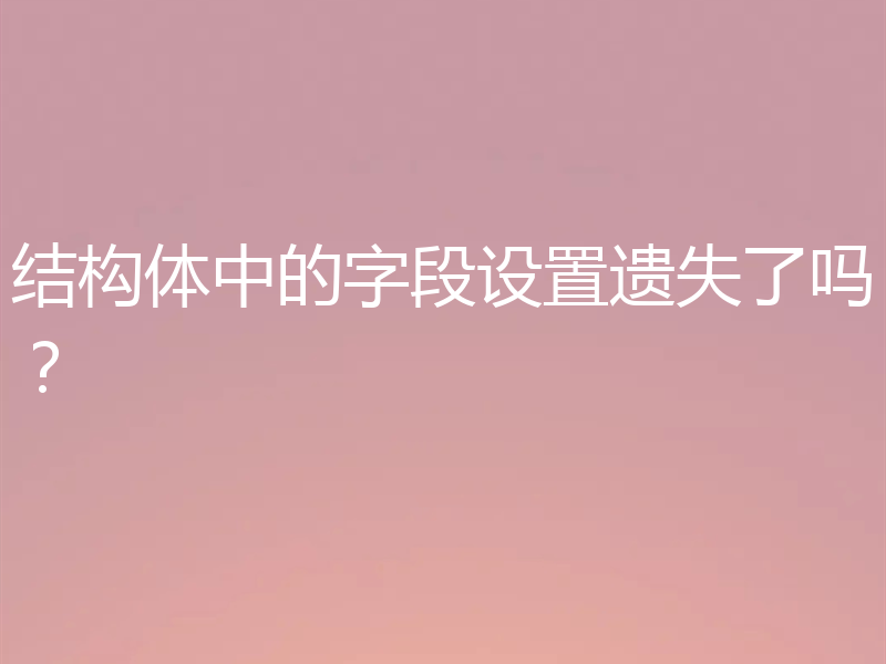 结构体中的字段设置遗失了吗？