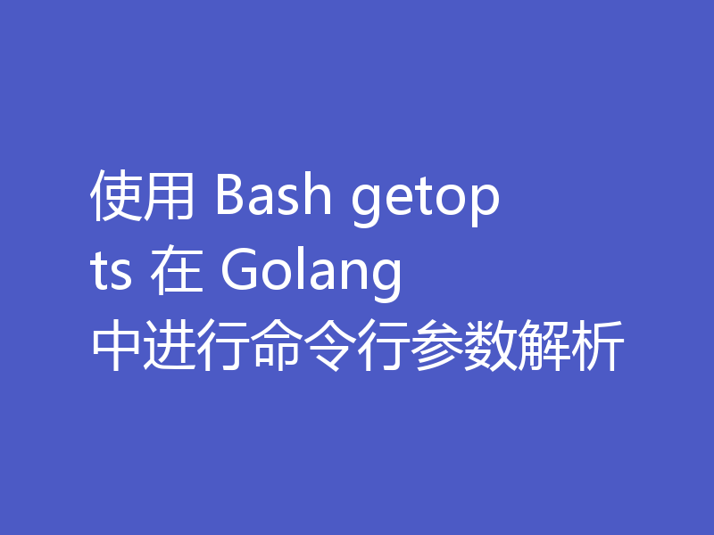 使用 Bash getopts 在 Golang 中进行命令行参数解析