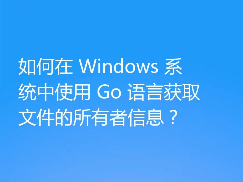 如何在 Windows 系统中使用 Go 语言获取文件的所有者信息？