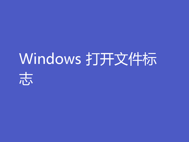 Windows 打开文件标志
